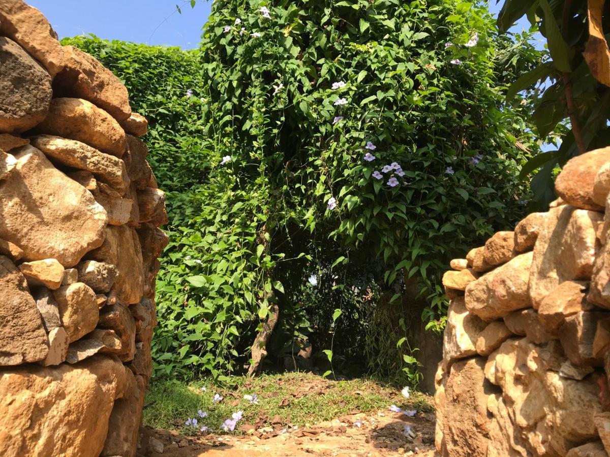 Earth House Sri Lanka Villa Neboda Exteriör bild