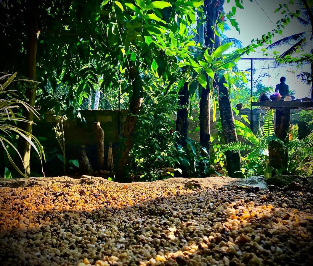 Earth House Sri Lanka Villa Neboda Exteriör bild