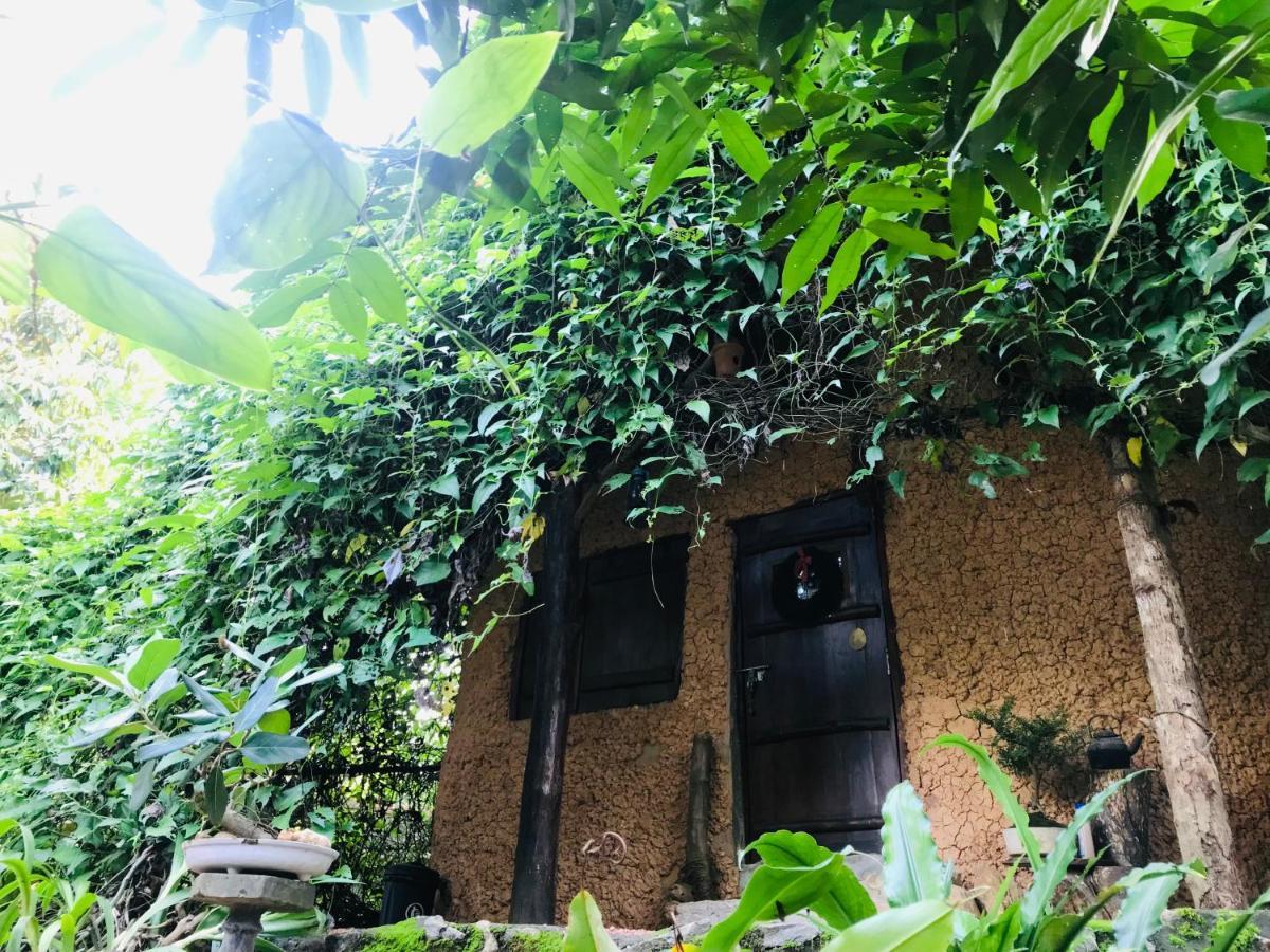 Earth House Sri Lanka Villa Neboda Exteriör bild